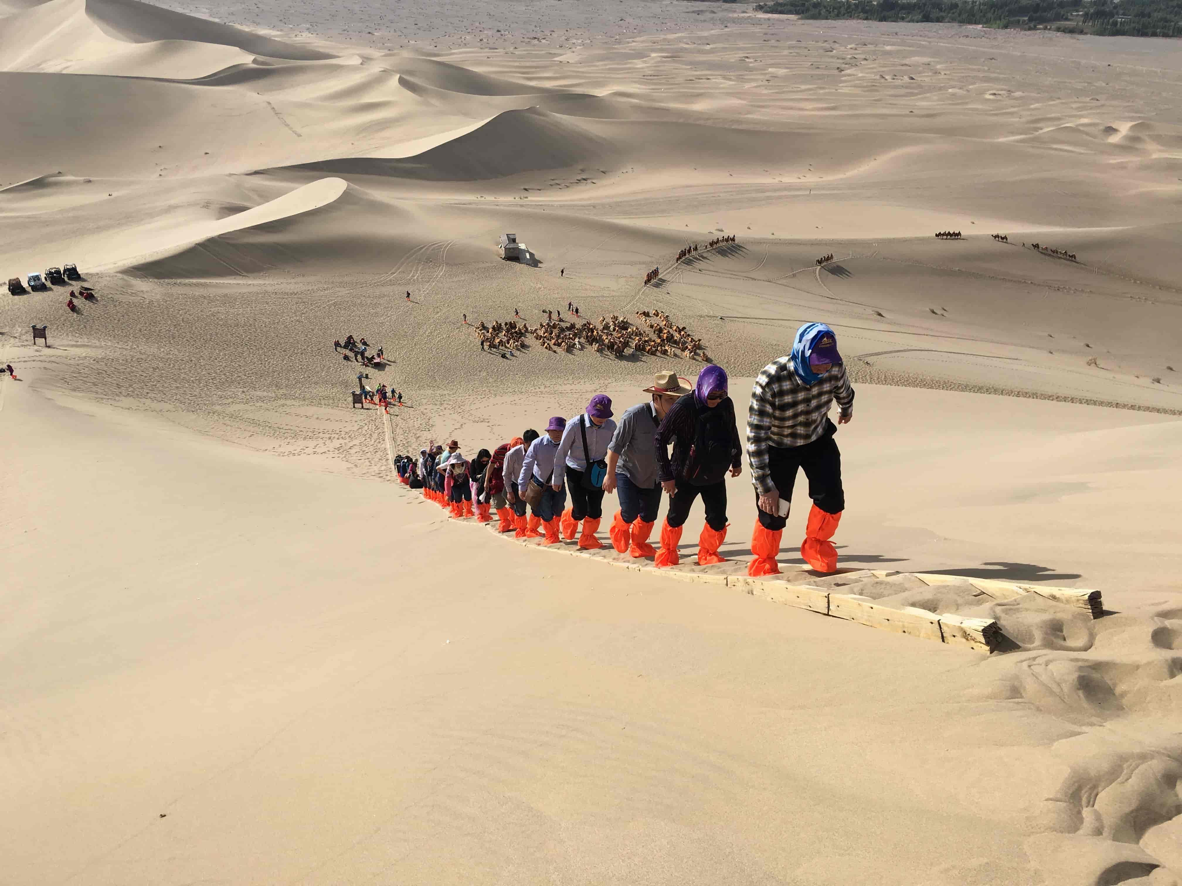 沙漠之旅